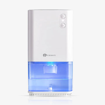 1200ml Mini Dehumidifier for Damp Mould Condensation and Moisture