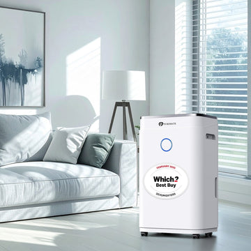 Humidifiers vs Dehumidifiers: Understanding the Key Differences and Benefits