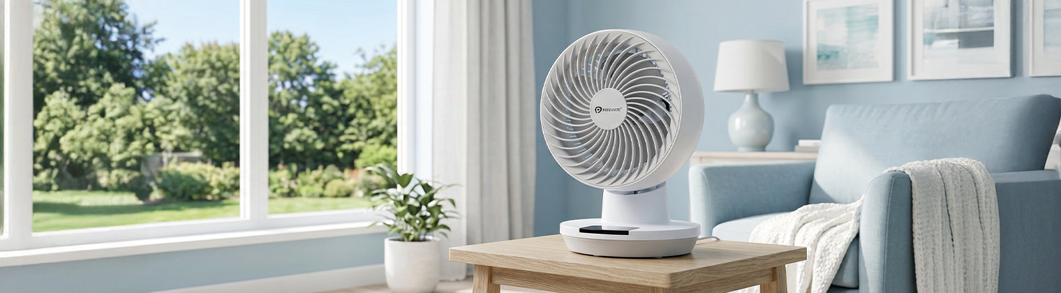 Desk Fan