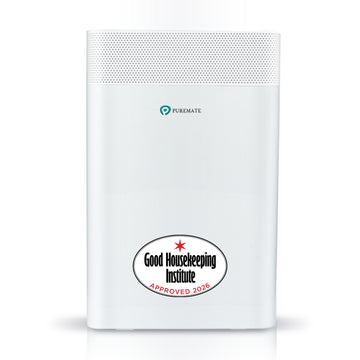5-in-1 Air Purifier with True HEPA Filter and Negative Ion Generator