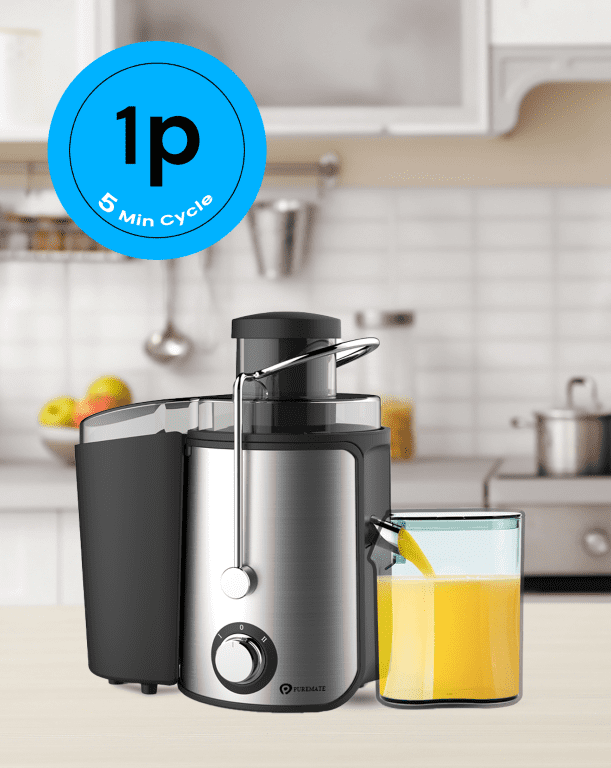 NaturoPure 600W Juicer for Fruits and Vegetables and BPA-Free