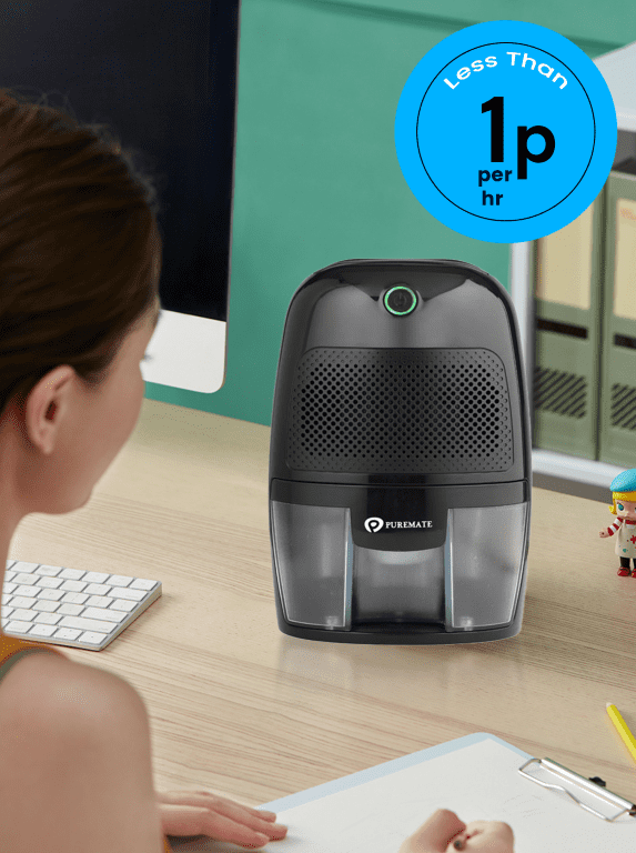 600ml Mini Dehumidifier