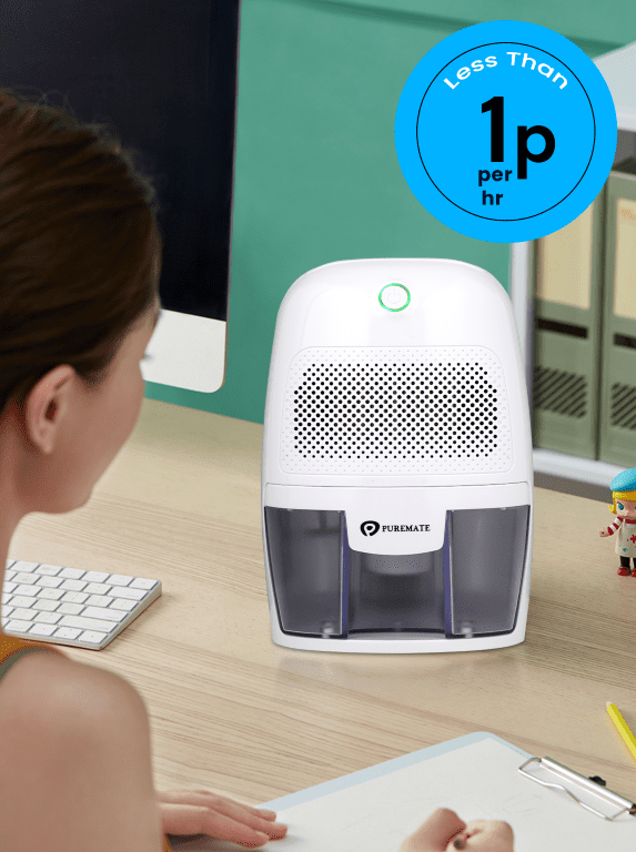 600ml Mini Dehumidifier for Damp Mould Condensation and Moisture
