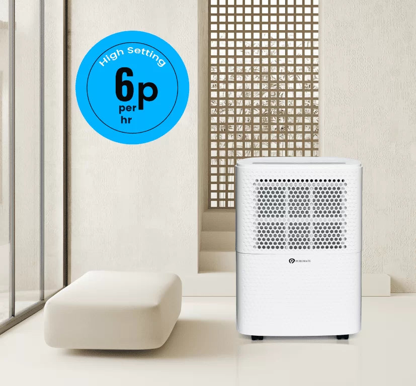 12 Litre Dehumidifier with Air Purifier and Continuous Drainage Hose