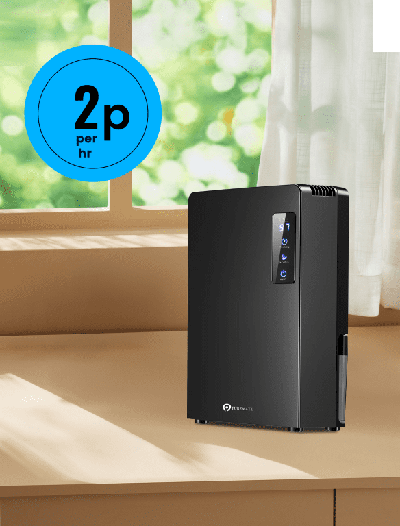 2200ml Dehumidifier with Air Purifier – Black