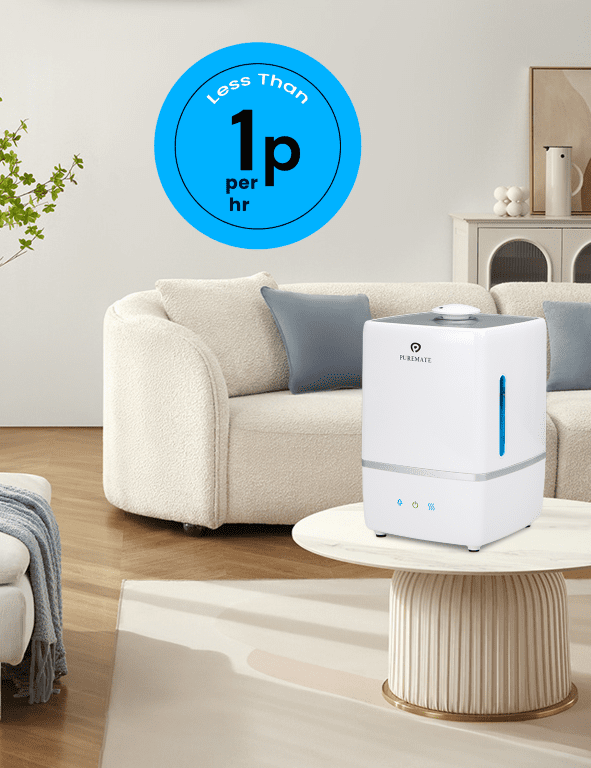 5 Litre Ultrasonic Cool and Hot Mist Humidifier with Ioniser and Aroma Diffuser