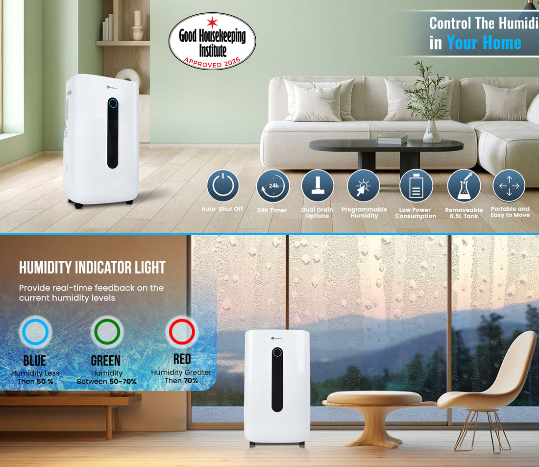 20 Litre Dehumidifier with air purifier Continuous Drainage Hose